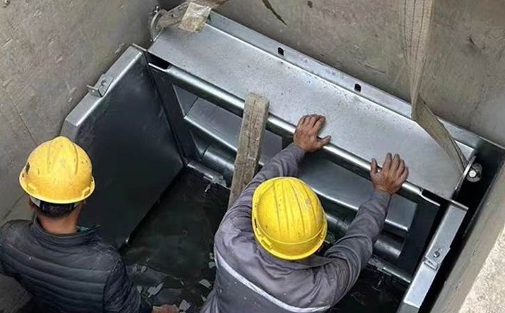 1763086990521126.jpg 310.jpg